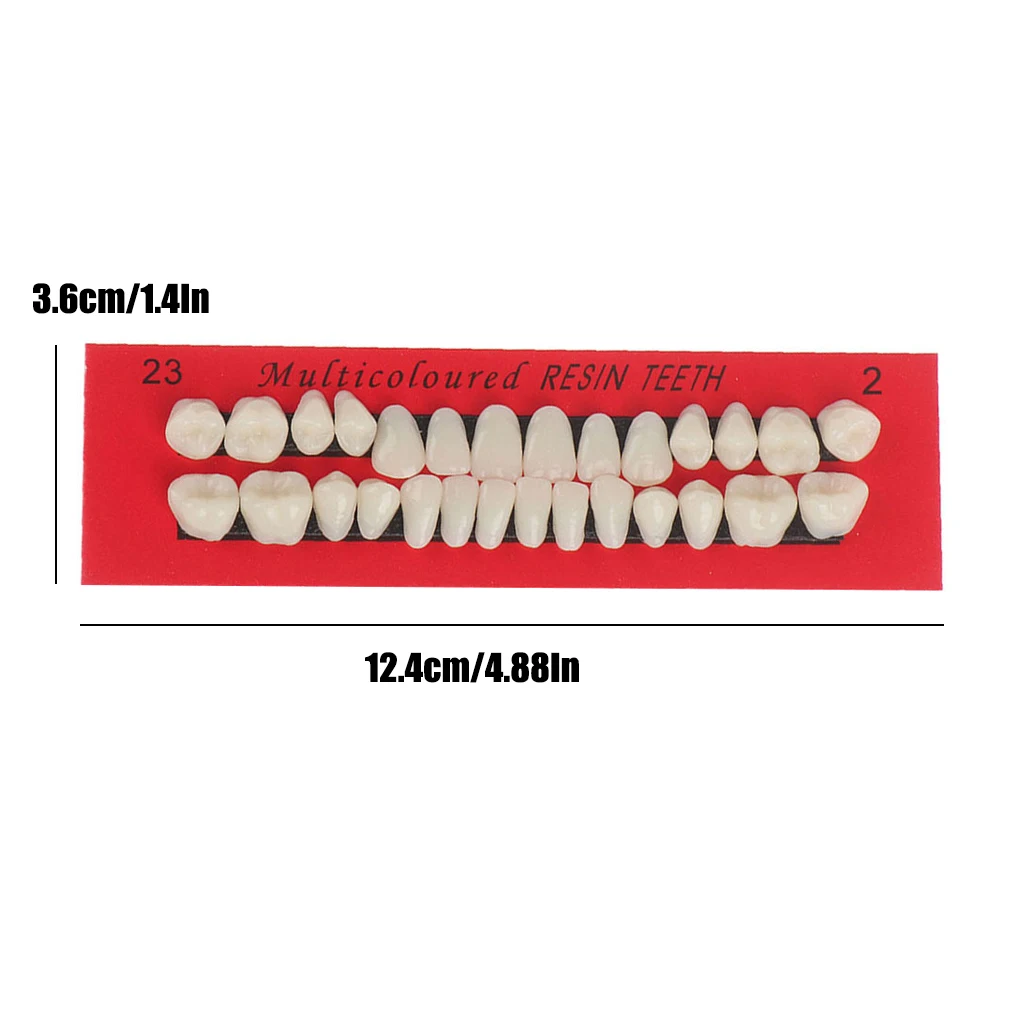 28-Piece/Set Colorful Resin Tooth Set for Professional and Educational Purposes - Durable and Realistic Dental Restoration Model Teaching Materials