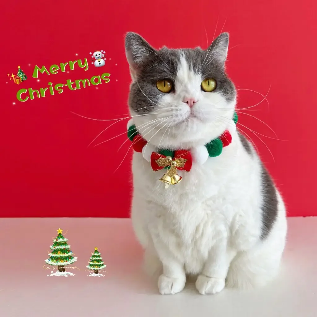 Cute Christmas Pet … - image