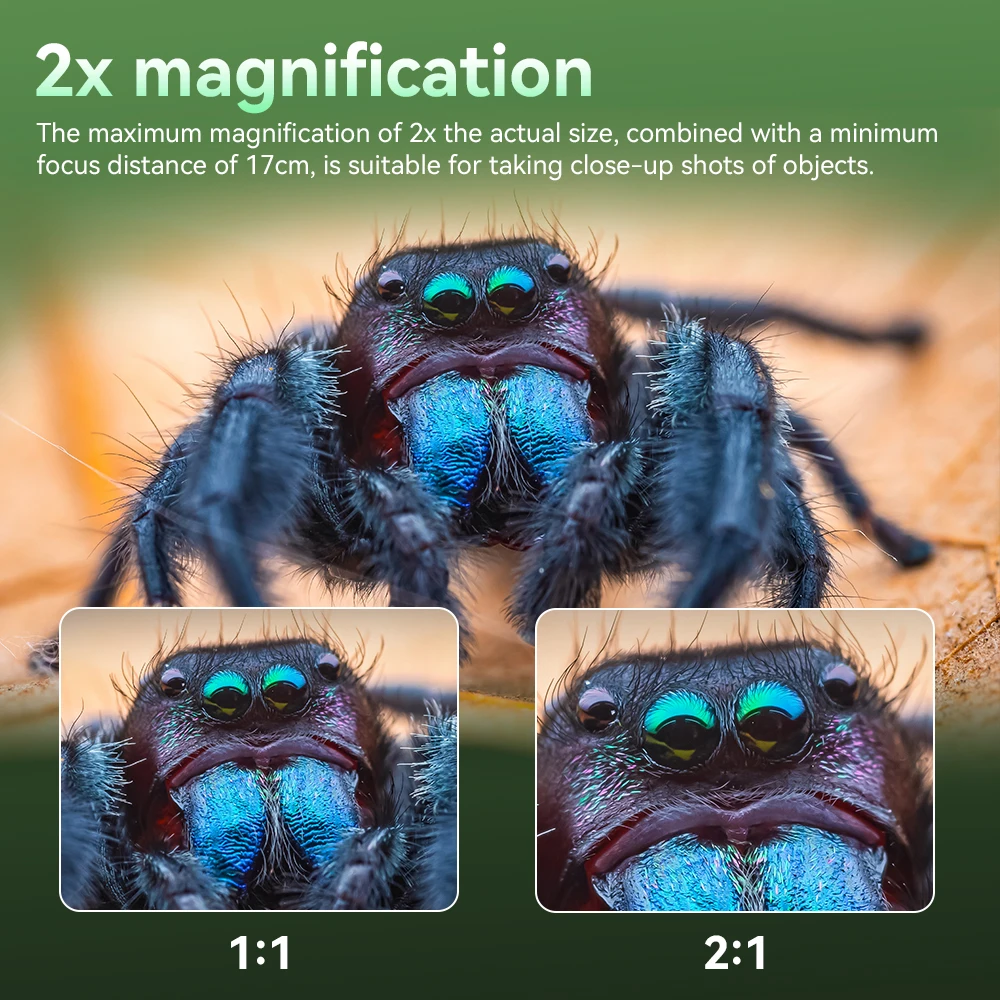 7Artisans 60mm F2.8 2X макрообъектив с ручной фокусировкой для Canon RF Sony A7 A6500 Nikon Z5 Z6 Z7 - Ювелирные изделия, фотография крупным планом от насекомых и муравьев