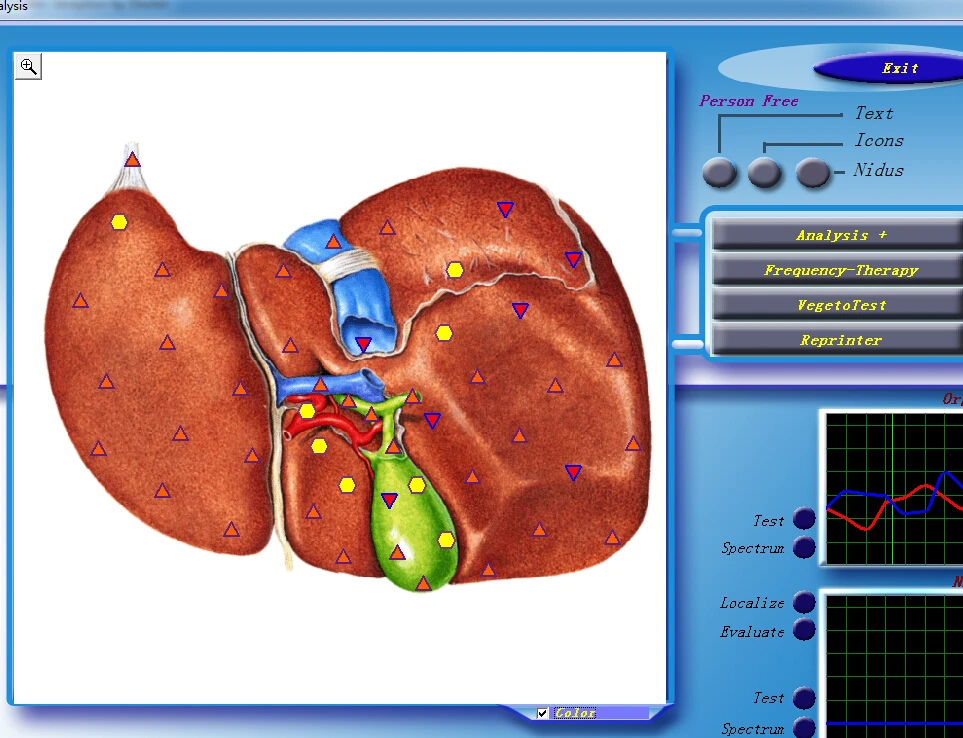 Diacom original 3d nls body health analyzer with ce certificate