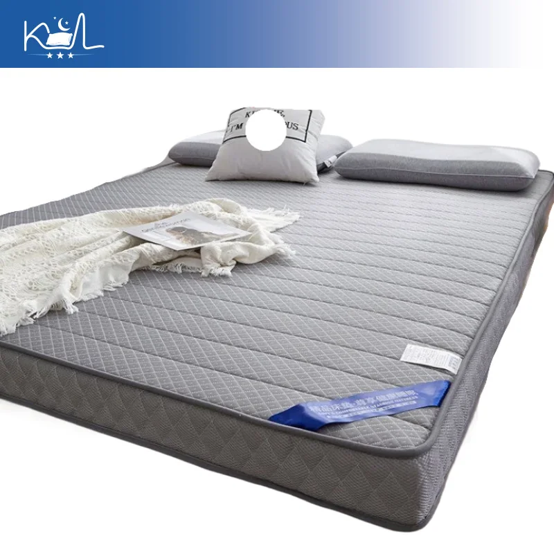 Extra Thick Mattress Pad for Double Bed, Soft Sponge Cushion for Student Dorm Tatami, Foldable Bed Topper for Home Use