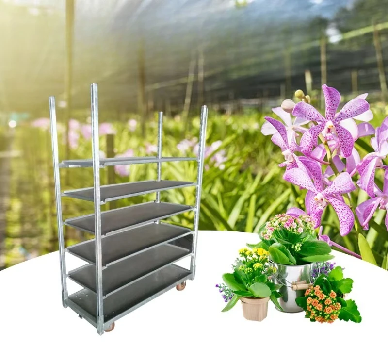 

Trolley Float Trolley Furniture Moving Tools Beach