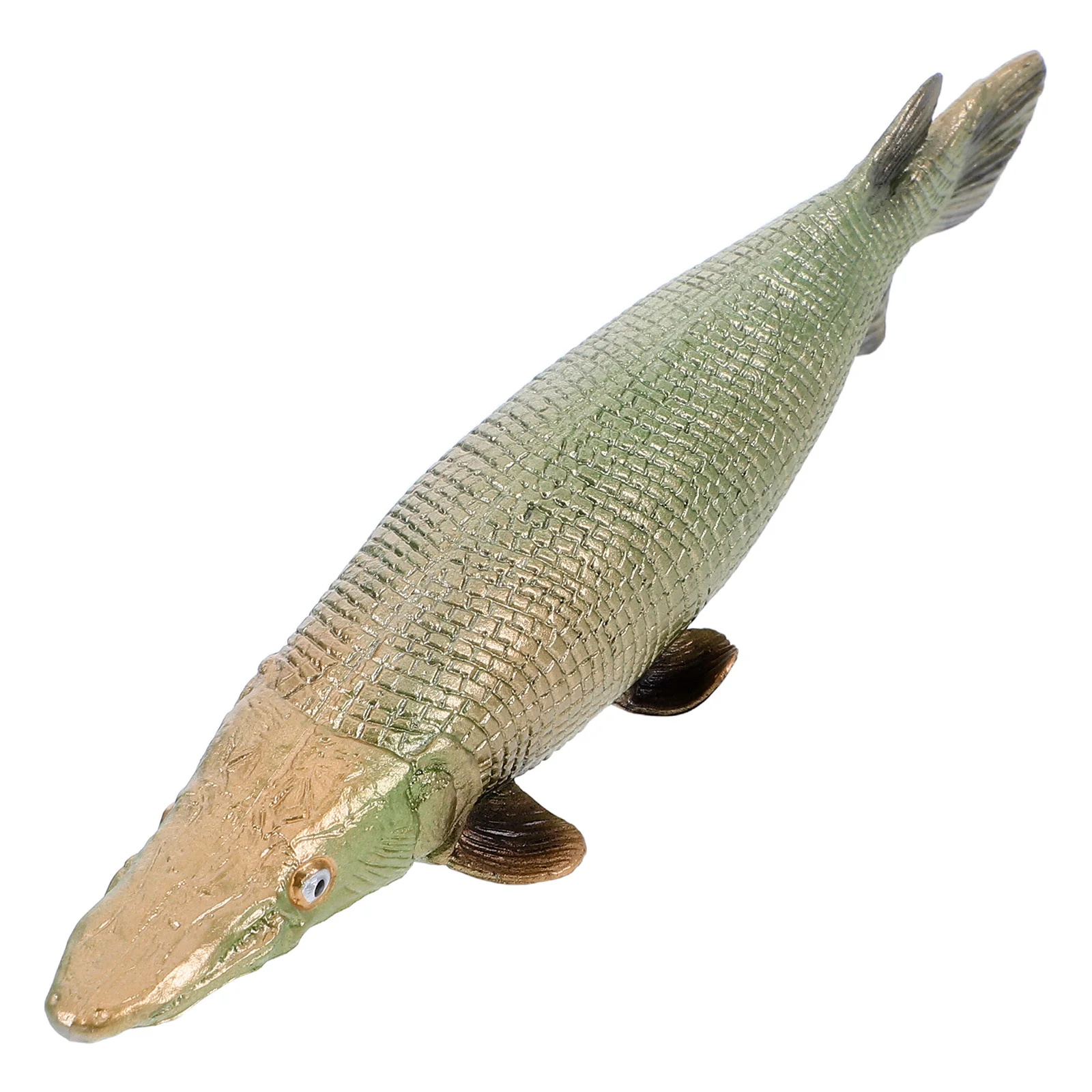 

Realistic Tropical Plastic Atractosteus Spatula Ocean Animal Lifelike Fake Educational For Kids Desktop Ornament Aquarium