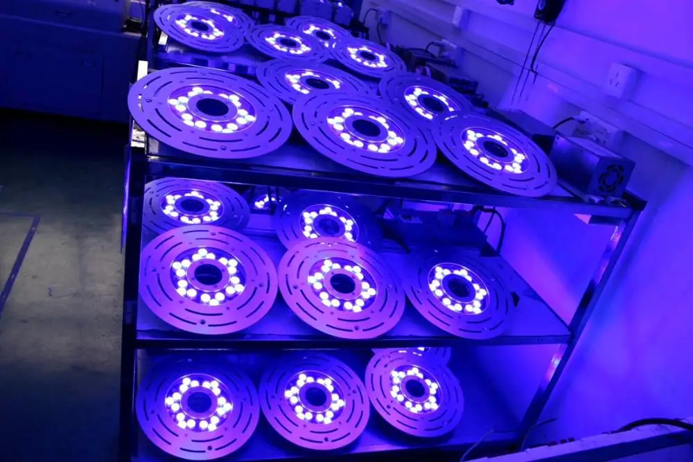 Корпус из нержавеющей стали IP68 316L, 36 Вт, светодиодный фонтанный светильник, совместимый с CE Rohs для ландшафтного применения