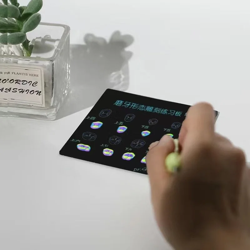 Dental Materials Teaching Exercises Dental Morphology Sculpture Filling Exercise Board Dental Resin Practice Filling Teeth Shape