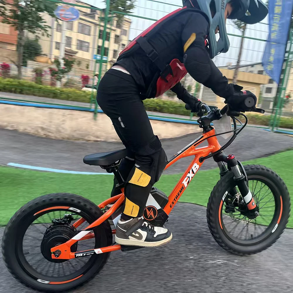 

16" 350W toy bike 36V 5Ah balance scooter off-road bicycle