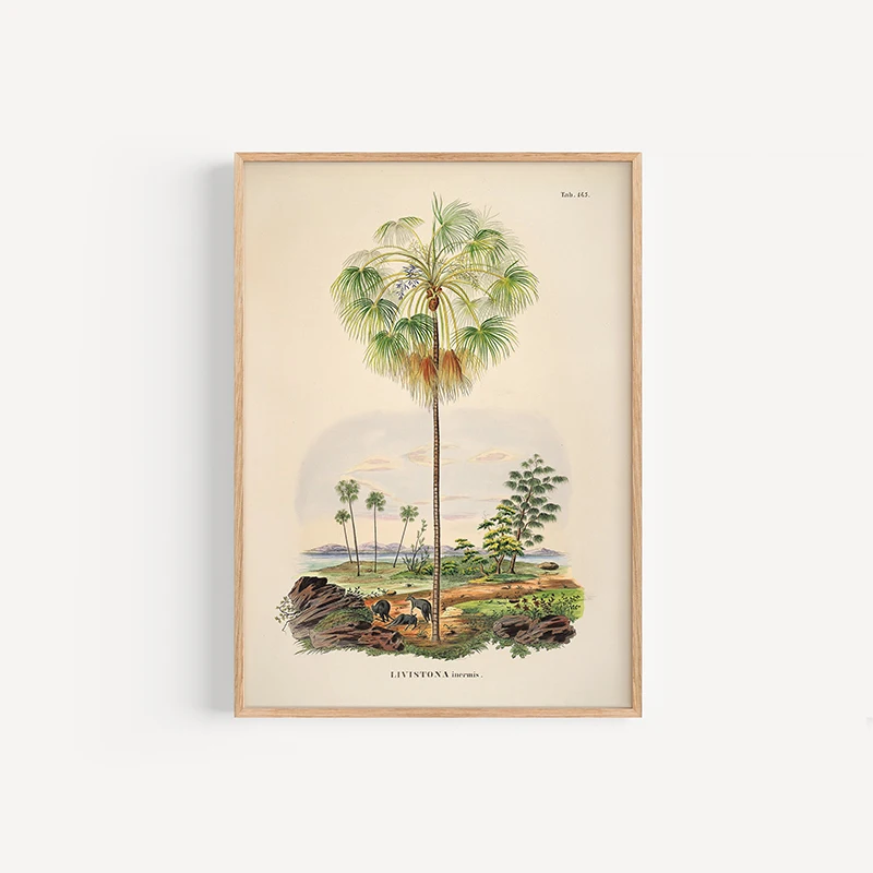 Vintage Botanical Palm Tree Illustration Art Posters and Prints Canvas Printing Wall Picture for Living Room Home Decoration