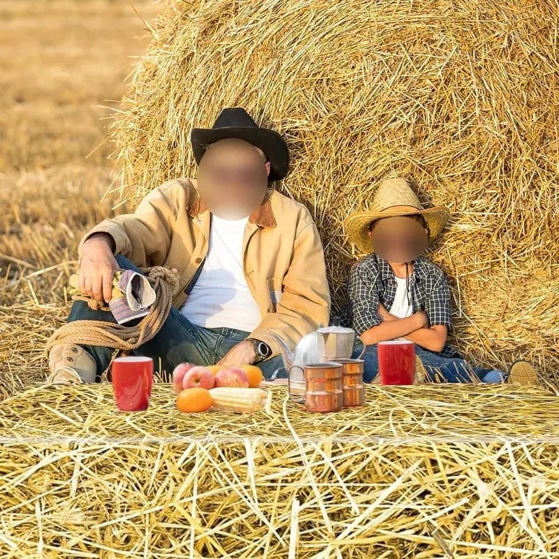 1-3 حزمة القش الجدول يغطي القش مفرش طاولة مزرعة النجوم القش بالات الديكور المزرعة الغربية موضوع كاوبوي حفلة عيد ميلاد لوازم #3