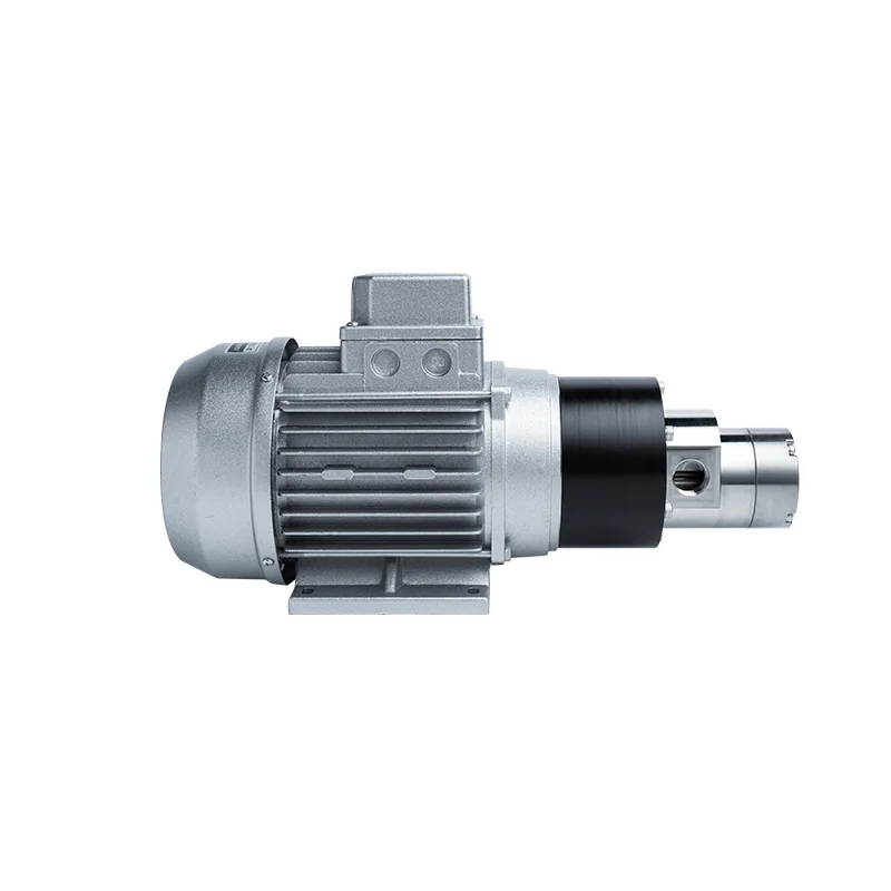 High Pressure 220V AC 550W Three Phase Magnetic Drive Gear Pump for Packing Machine Transfer High Temperature Mini Gear Pump