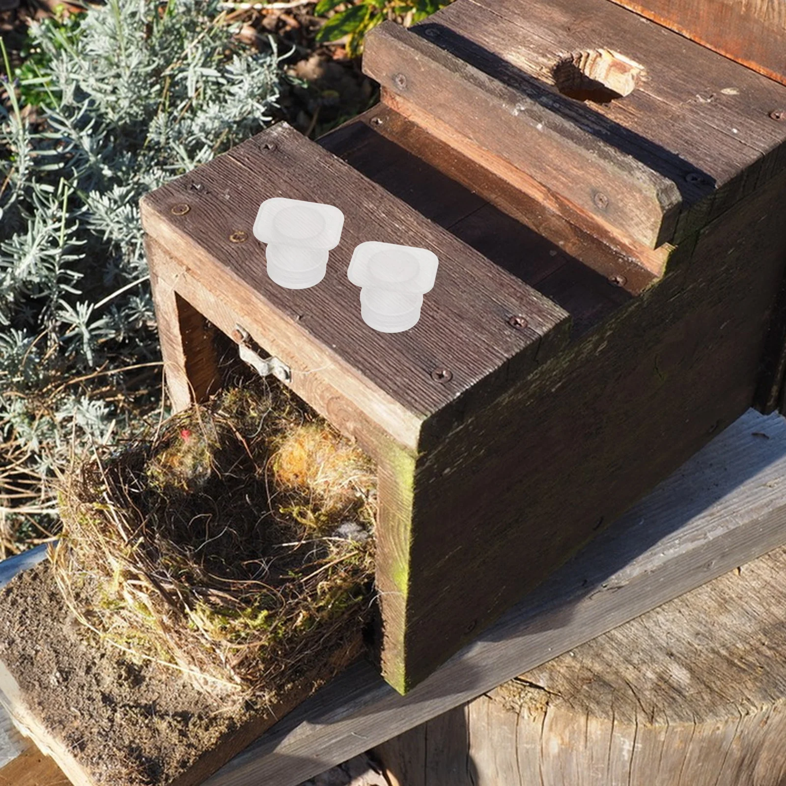 

20pcs Beekeeping Tool Set: Hive Feeding Cups 3Cm Opening Reusable Plastic Water Dispenser For Bee Hydration Feeder Equipment