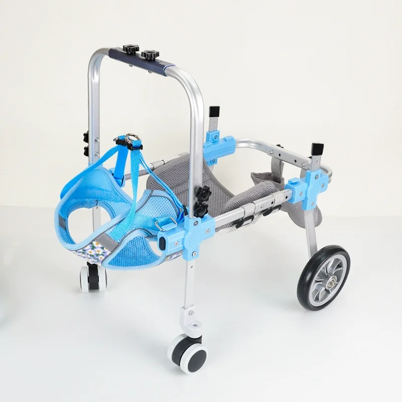 Thumbnail 3 - #18 Ranked Pet Agility Equipment Picks in 2026