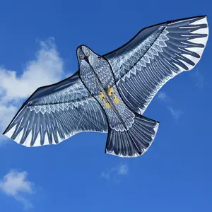 Kite Eagle mit Griff und Linie für Kinder oder Erwachsene, lustige Outdoor -Sportarten, guter Flug, 59 Zoll, Neuankömmling 6 Hauptverkaufskite Cabrinha - №6