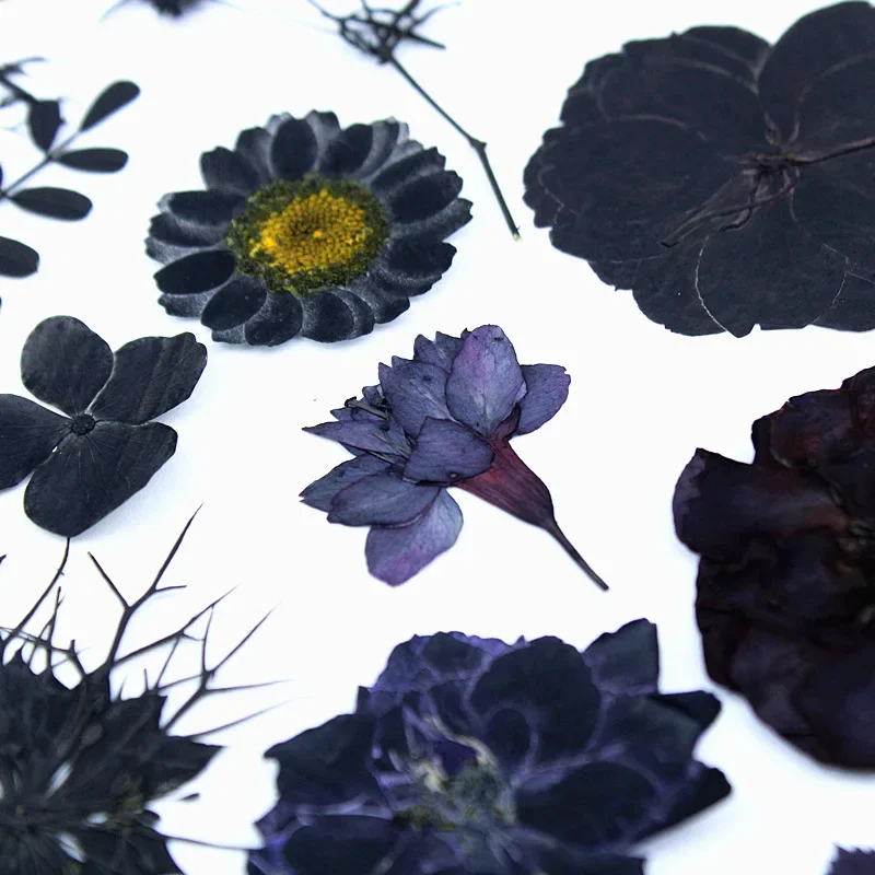 Natural dyed black embossing, pressed flower DIY festival bookmark handmade photo frame,12pcs