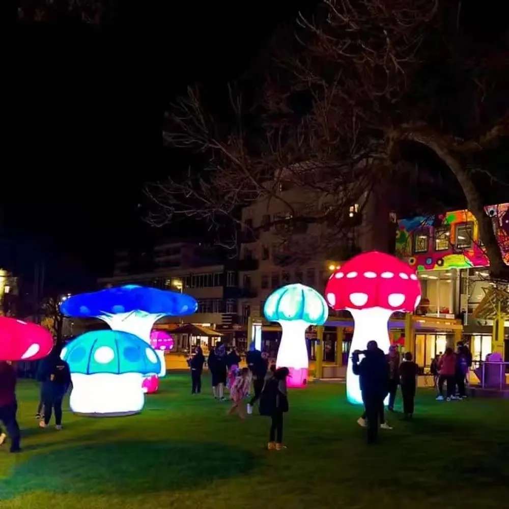 Salle Gonflable avec Lumières LED, Fournitures de ix, Fleurs, Décoration pour Alice au Pays des Merveilles, Activités à Thème