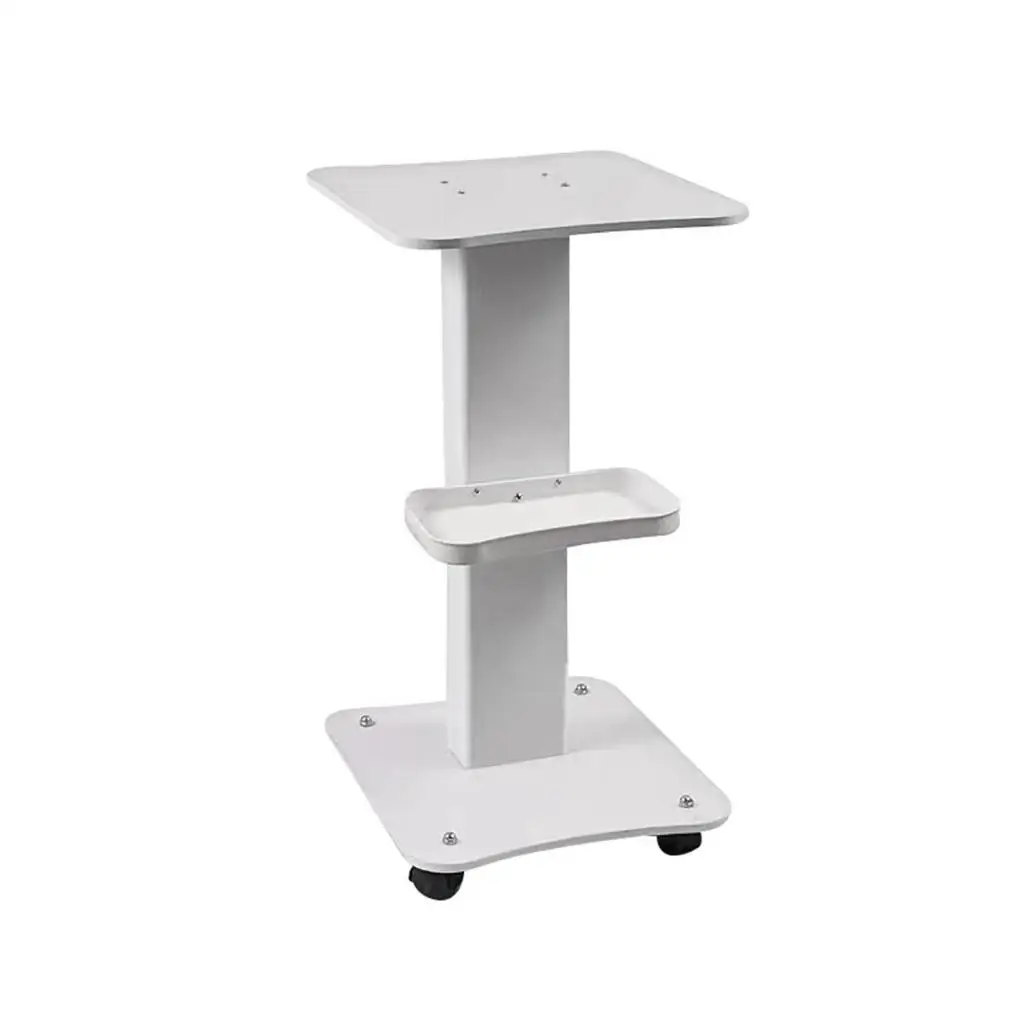 Salon Trolley,Makeup Mobile Cart,Professional,Easy Assembly Auxiliary Multipurpose Esthetician Cart Trolley Cart with Wheels