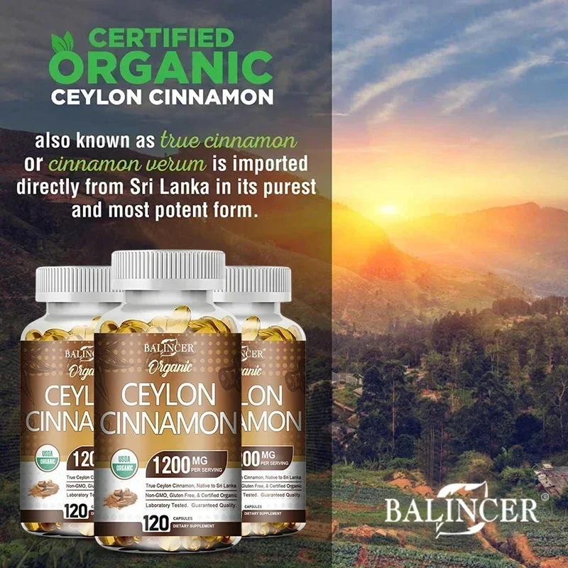 Organic Ceylon Cinnamon Supplement - Antioxidant, Immune System, Cardiovascular and Gastrointestinal Health, Non-GMO Gluten-Free