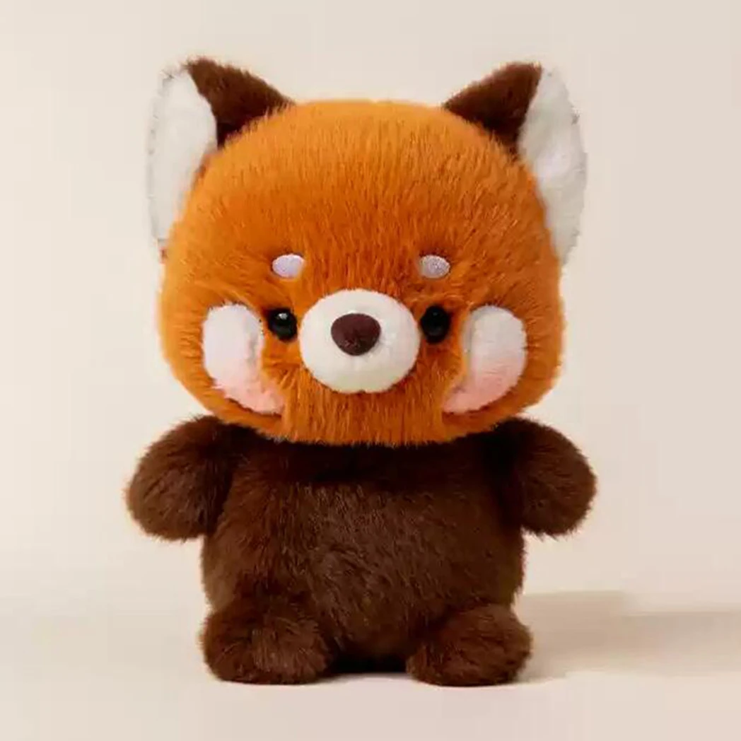 Little Raccoon