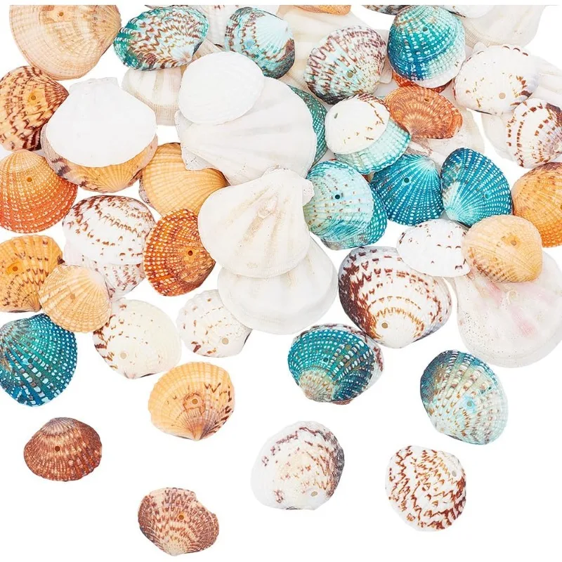 

40 Pcs 4 Styles Drilled Shell Mix Sea Shells Dyed Natural Mixed Shell Beads Colorful Scallop Shells Natural Clam Seashells