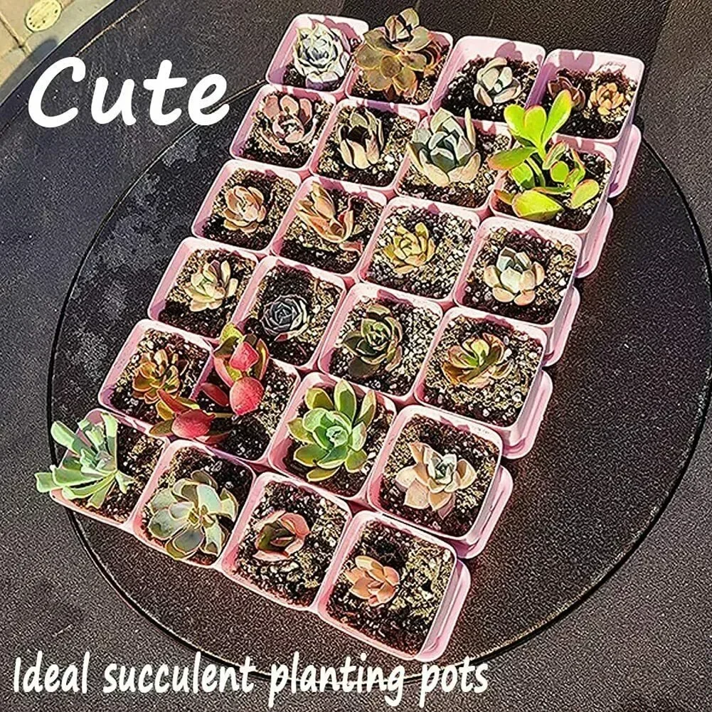 

10 PCS Multi Square Nursery Flower Pots Nursery Pot Plant Seeds Succulent Pots Flower Tray Plant Pot For Home Garden