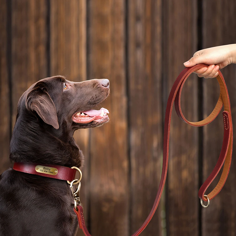Personalisierte Hundehalsband-Leine aus echtem Leder, langlebige Hundehalsbänder, Gehbleine, Seil, frei mit Gravur für kleine, mittelgroße und große Hunde – Detail 39