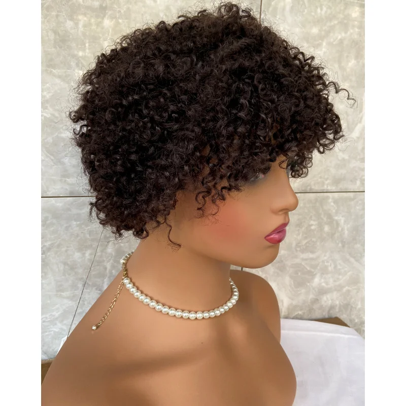 

Hair Afro Kinky Curly Hairstyle Soft Natural Wigs For Black Women