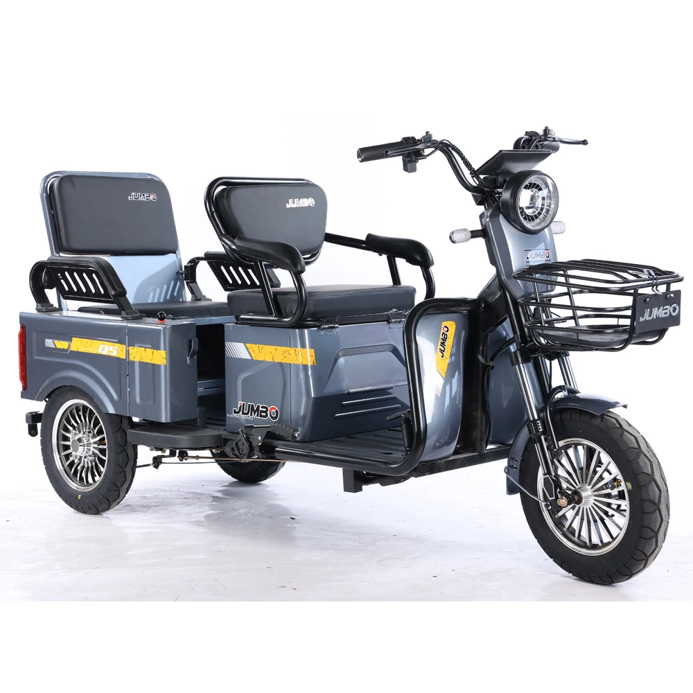 Two-Seater 60V 800W Electric Tricycle 3-Wheel Electric Bike for Adults Factory Price Open Body Type