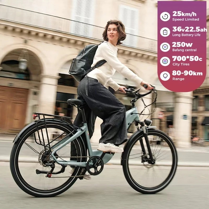 

Professional Electric City Bike Adult 250W Electric Bike 36v Electric Hybrid Bike