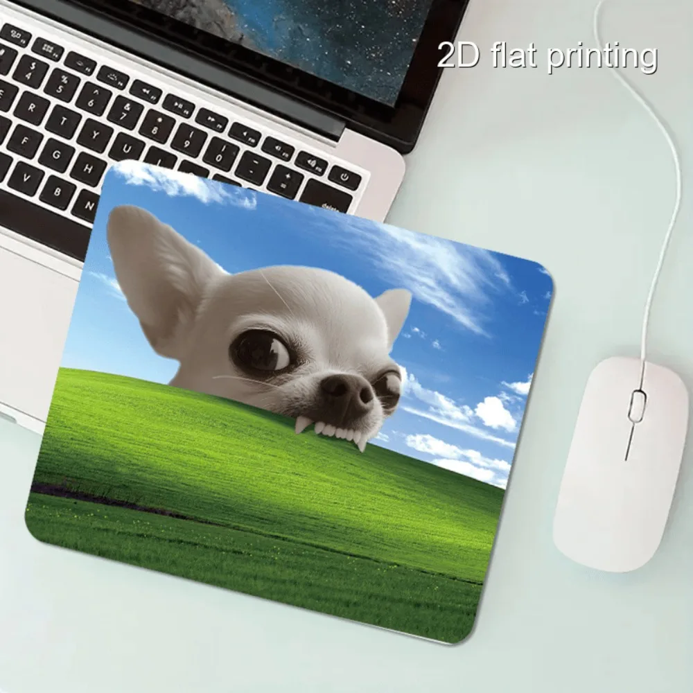 CIFBUY Chihuahua Pattern Rubber Mouse Pad Compact Portable Desk Mat for Office Laptop and Home Use Smooth Surface Ideal Gift