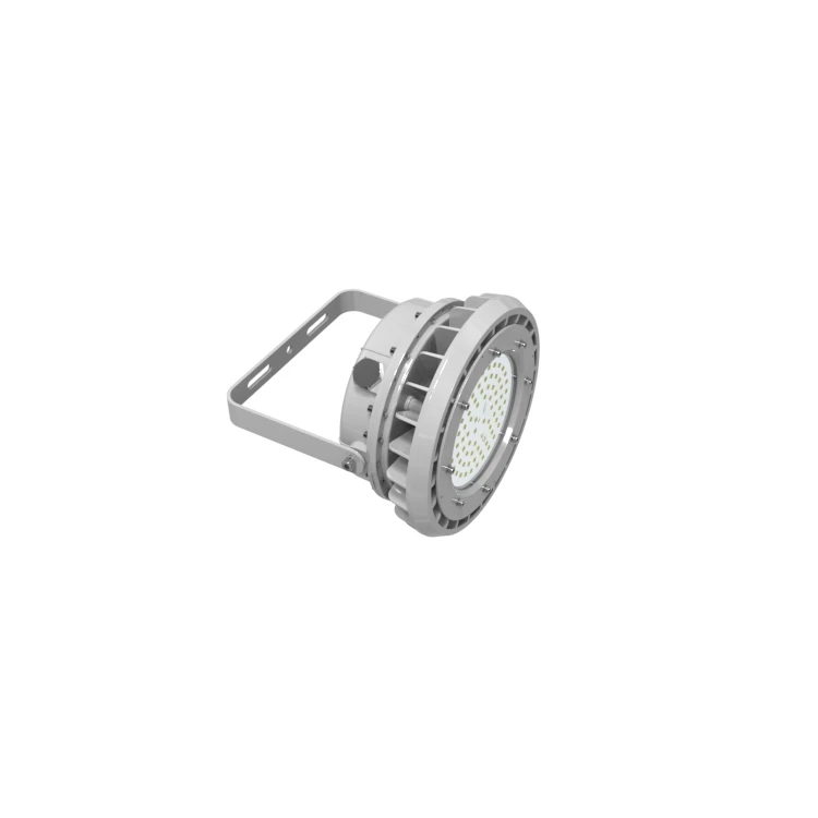 

UL844 Commercial Industrial Lighting 60W/80W IP66 Round Shape Explosion Proof Light Class I Division II