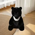 Black Bear