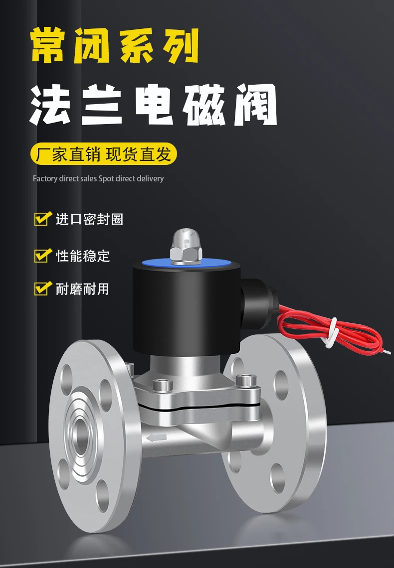 Magnetventil 304 stainless steel flanged solenoid valve normally closed water valve project DN40/50/65/80/100/PN1.0/1.6 Wasser und Dampf — Detail 2