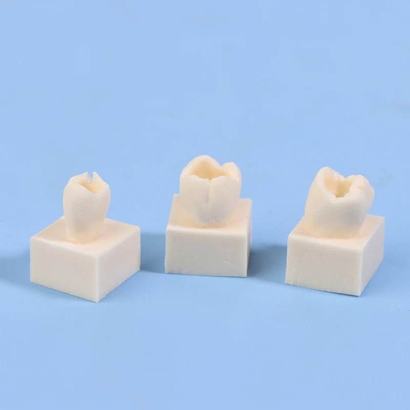 8 قطعة/المجموعة الأسنان الخلفي طالب التدريب اختبار نموذج الممارسة مركب الراتنج ملء الأسنان الفك معدات طب الأسنان