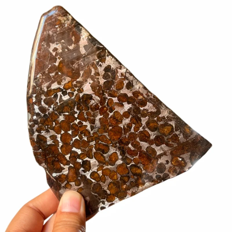 Natural Sericho Pallasite Meteorite Polished Triangular Slice Transparent Olivine Crystal Space Collectible TA807