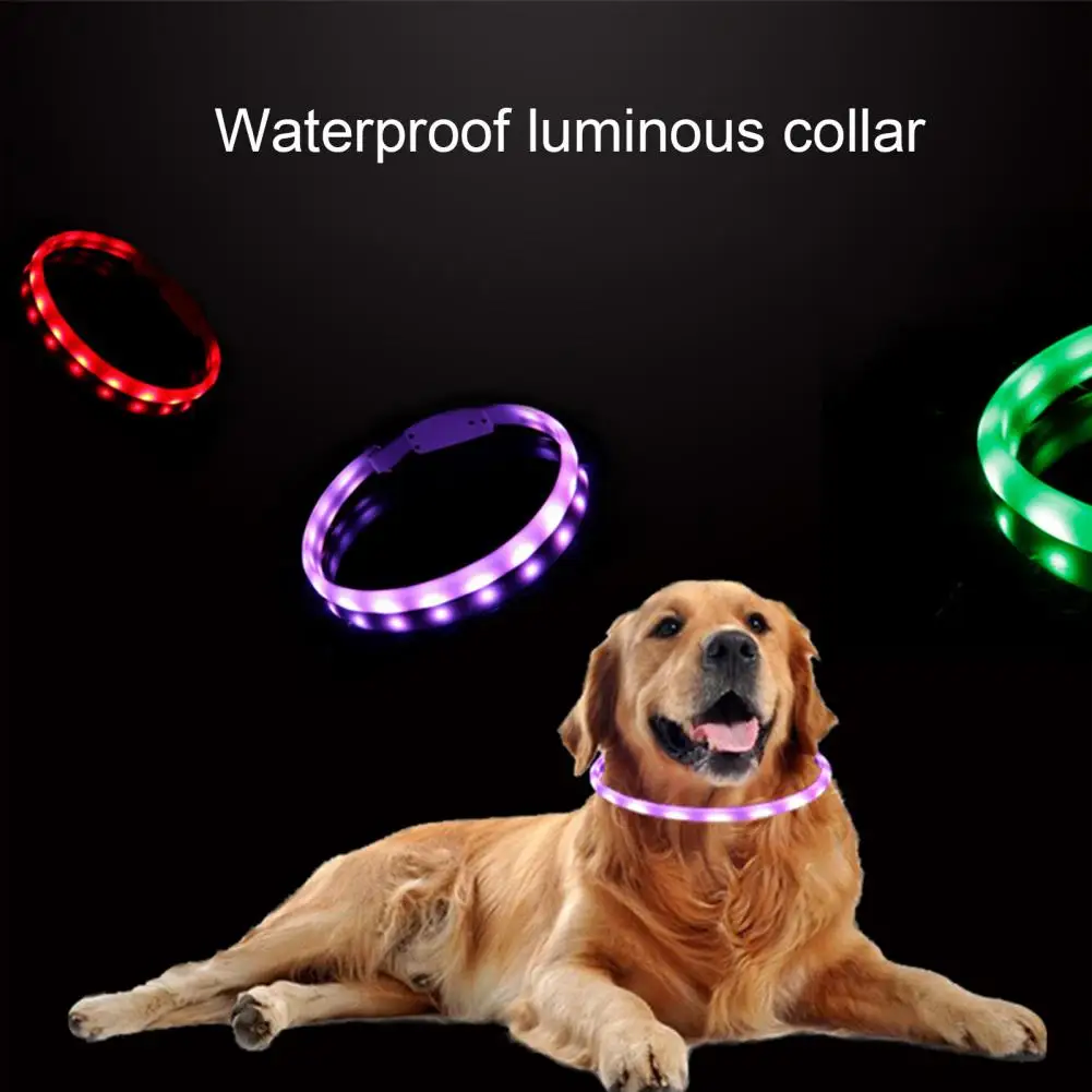 LED Pet Collar Adjustable Mult Flashing Modes Waterproof Glowing Rechargeable Lightweight Dog Collar