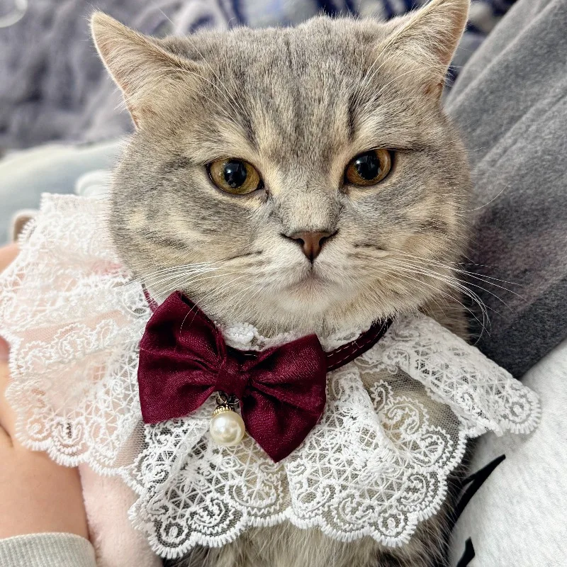 Goth Cat Collar - Cartoka