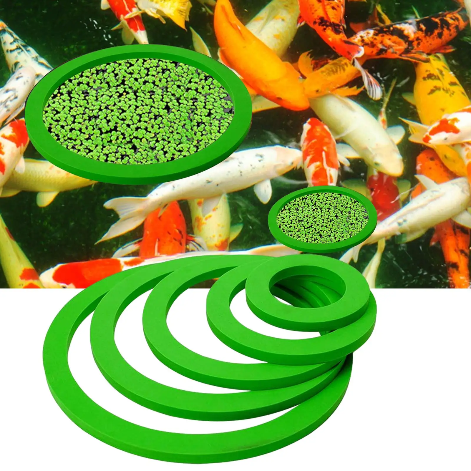 Fish Tank Grass Blocking Rings Set Fish Feeding Rings for Aquarium Fish Tank Green