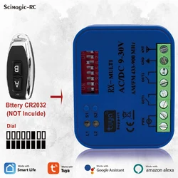 ガレージドアTuyaWifi RXマルチ周波数,ユニバーサルレシーバー,スマートリレーRFコントロールモジュール,アレクサ,300-900MHz, 2CHで動作