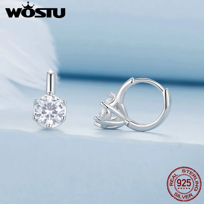 WOSTU Sparkling Weddding Jewelry Round AAA Zircon Stud Earrings For Women Classical Drop Dangle Ear Buckles Party Pendientes