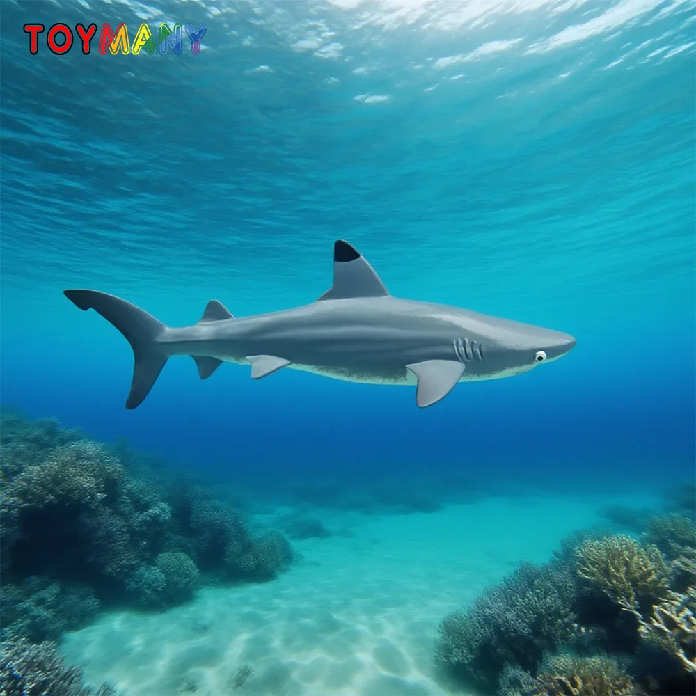 

Toymany Simulation Blacktip Reef Shark Ocean Animal Model Toy Mini Figures Dolls Action Figurines Toys Children Gift Cake Decor
