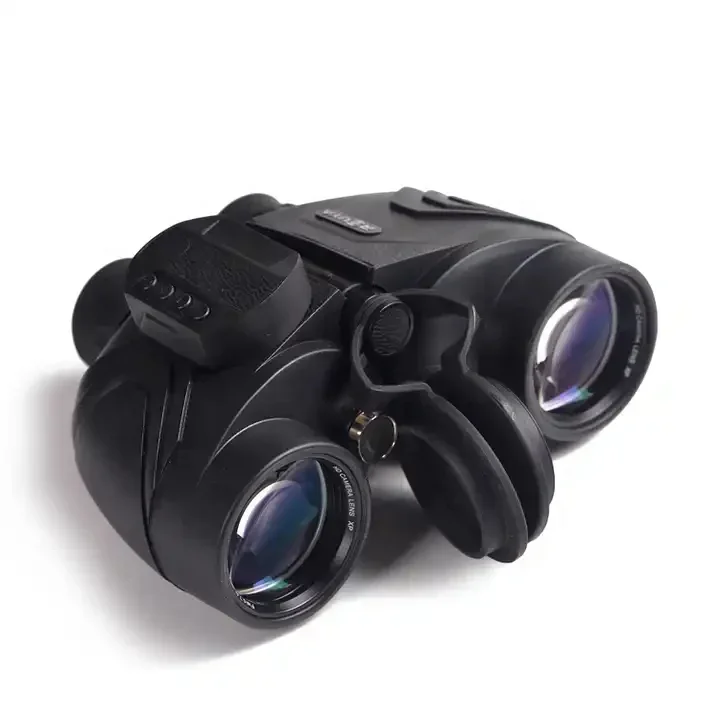 Electronic Compasss…