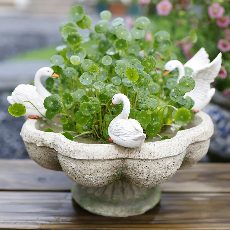 

Creative Hydroponic Flowerpot with No Holes Water for Raising Swans Balcony Courtyard Garden Desktop Decoration