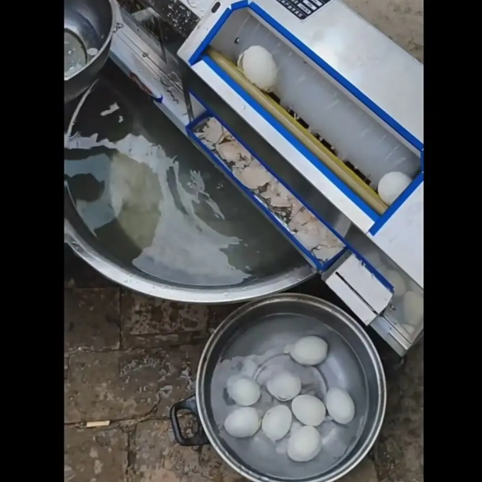 Fully Automatic Boi…