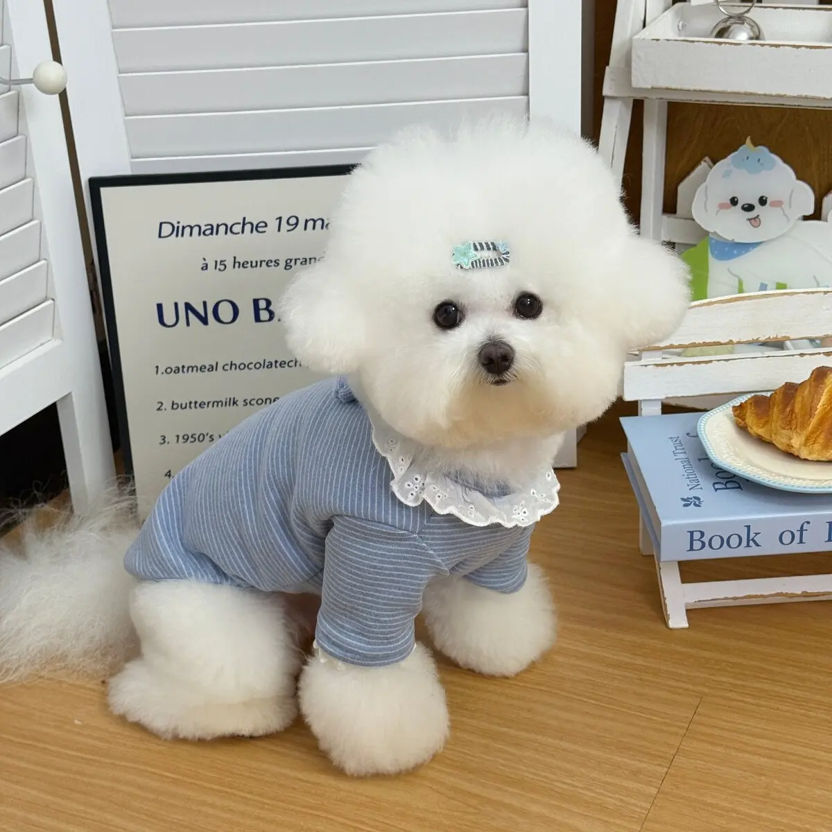 Lace Ruffle Collar Striped Dog Clothes 3D Knit Tulip Flower Pet Home Pajama For Small Medium Yorkshire Chihuahua Dog Clothing