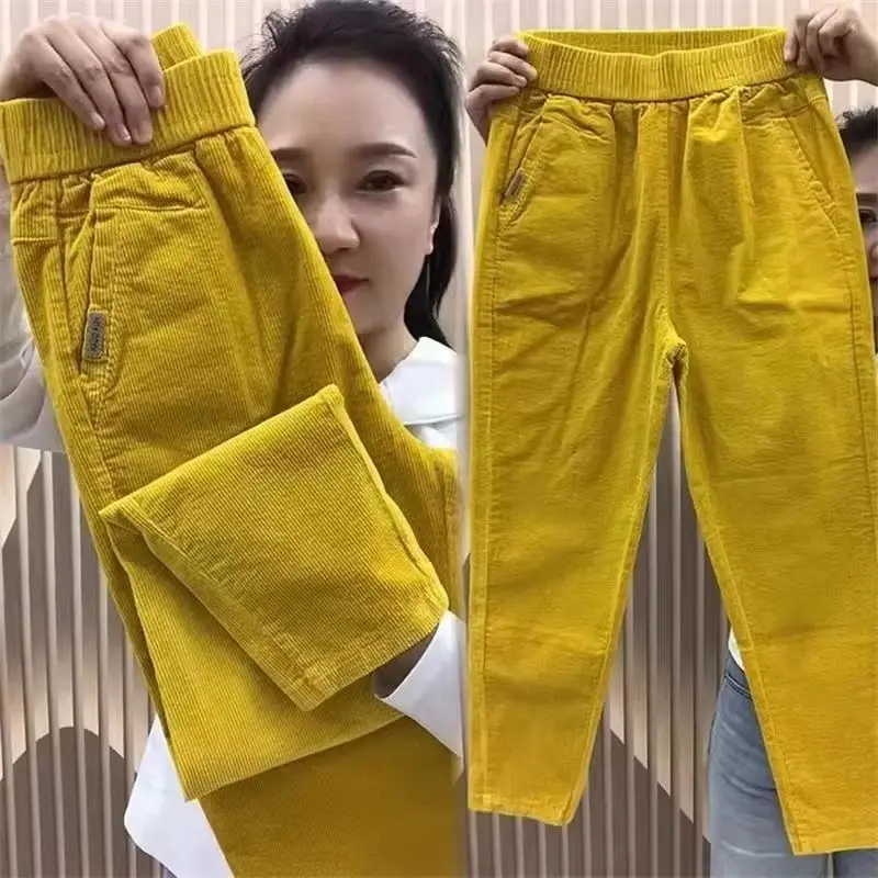 Novas calças femininas de alta qualidade outono moda coreana veludo harem calças femininas casuais finas calças de cintura elástica senhoras