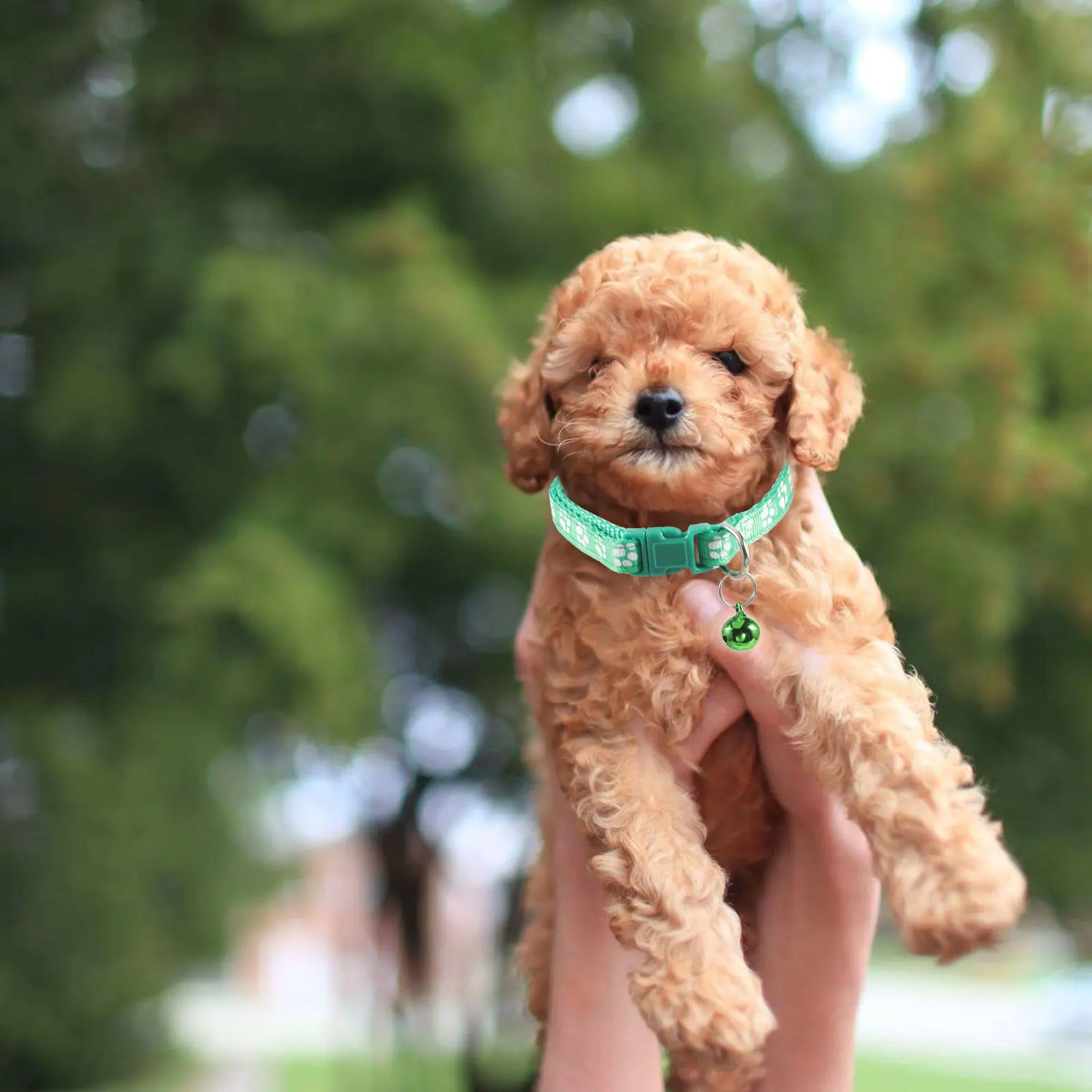 

8pcs Durable Footprint Printed Pet Collars Adjustable Dog Collar Bell Ring Fashion Cat Pendant Mixed Colors For Outdoor Walking