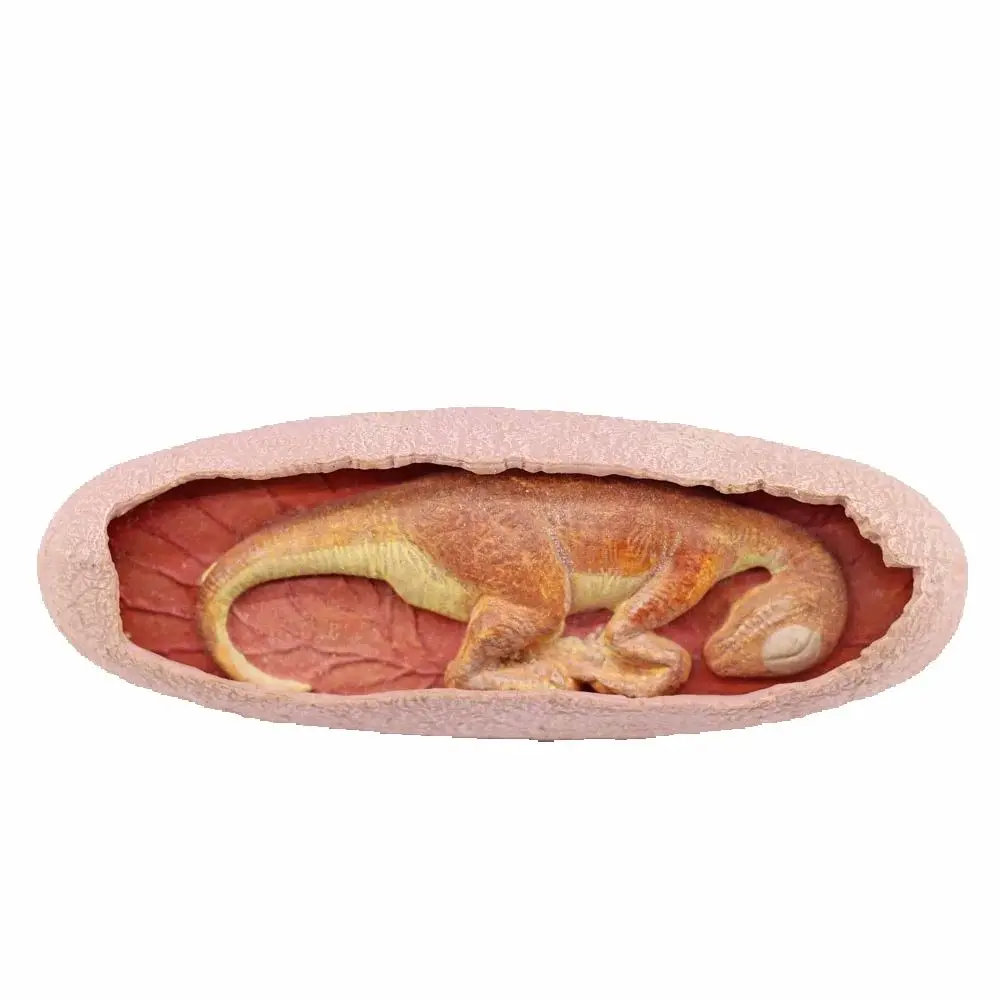 

3D Dinosaur Baby Silicone Mould Dinosaur Egg Candy Chocolates Fondant Cake Decorating Topper Sugarcrafts DIY Resin Soap Candle