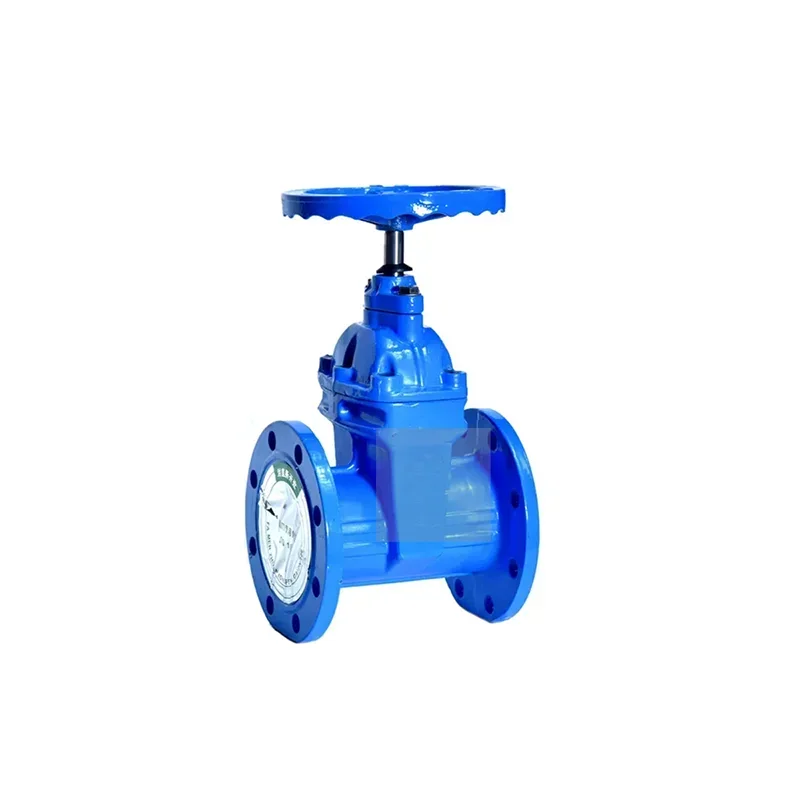 DN20 DN32 DN50 DN100 carbon steel WCB gate valves 2