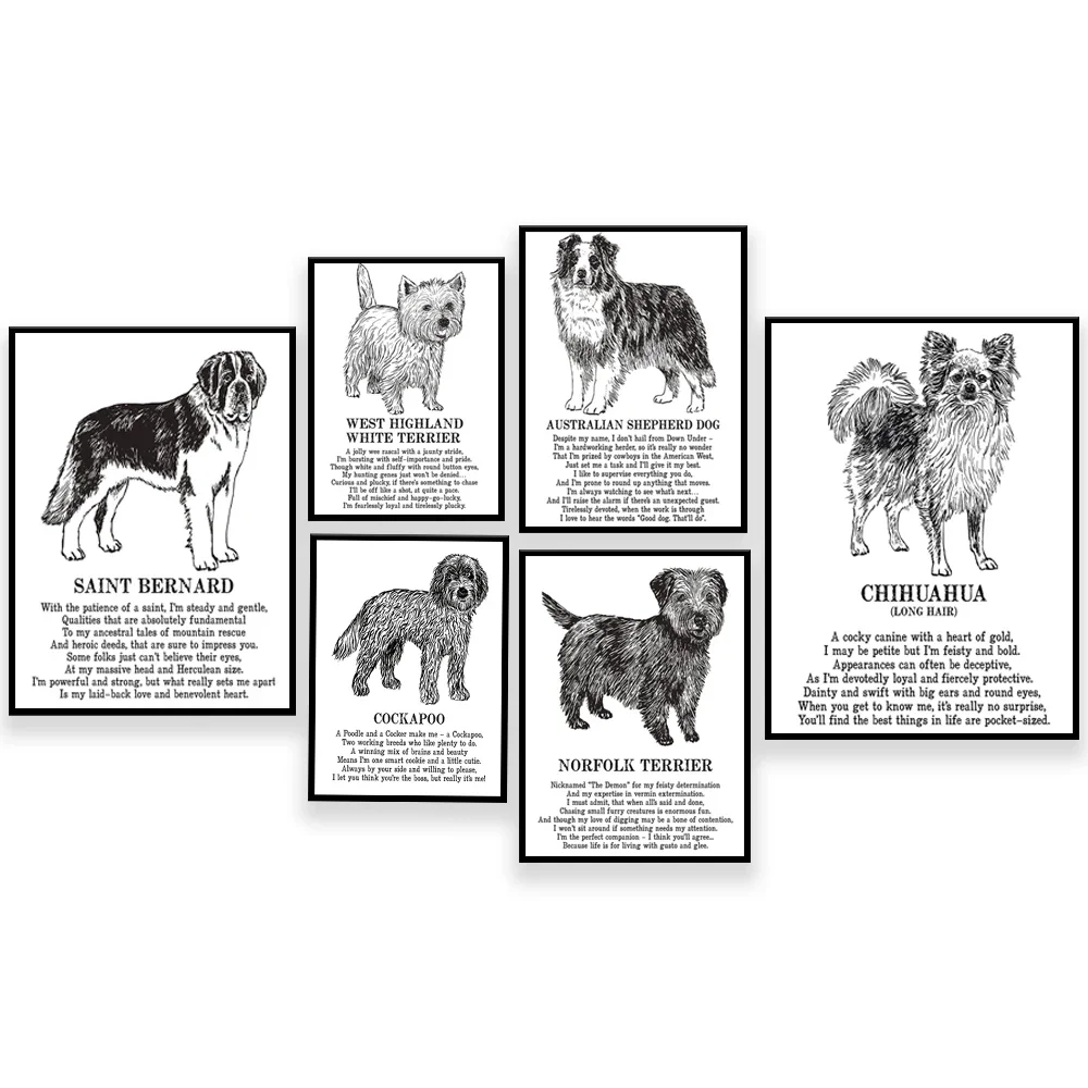 Curly-Coated Retriever, Norfolk Terrier, Saint Bernard, Bernese Mountain Dog, Shih Tzu, Springer Spaniel Animal Poetry Poster