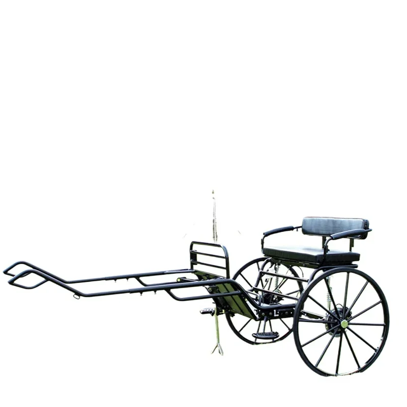 

Retro sightseeing carriage, solid equestrian supplies, two-round training competition