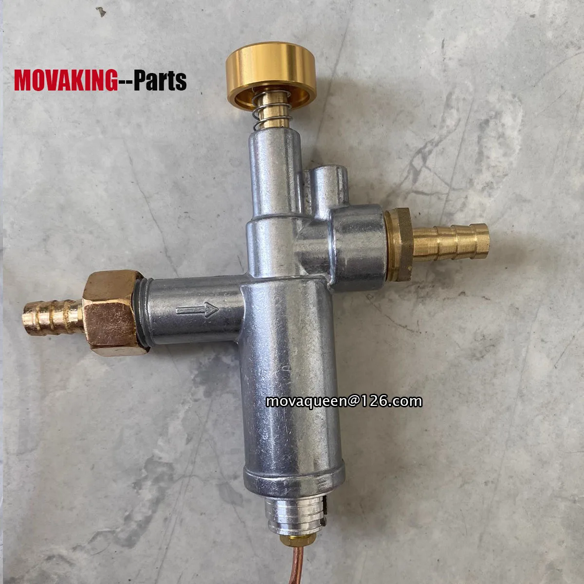 LPG NG Low Pressure Furnace Gas Stove Flameout Protection Gas Control Valve With Copper Induction Wire